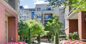 Amli at Bellevue Park