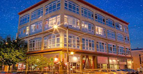 Monique Lofts